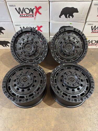 New set black bear - set,